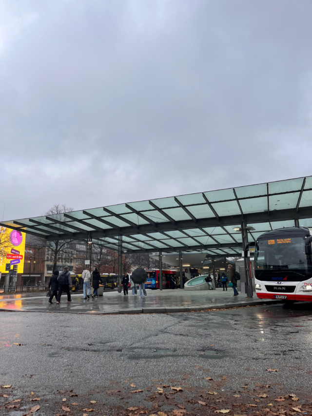 Sicherheit Bahnhof Wandsbek